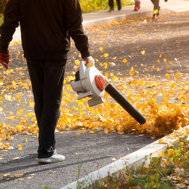 Handheld Leaf Mulchers: Discover the Top 5 Ultimate Tools to