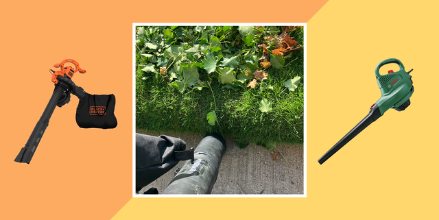 best leaf vacuums