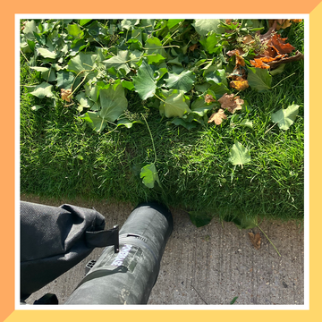 best leaf vacuums best leaf vacuums