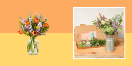 best letterbox flowers