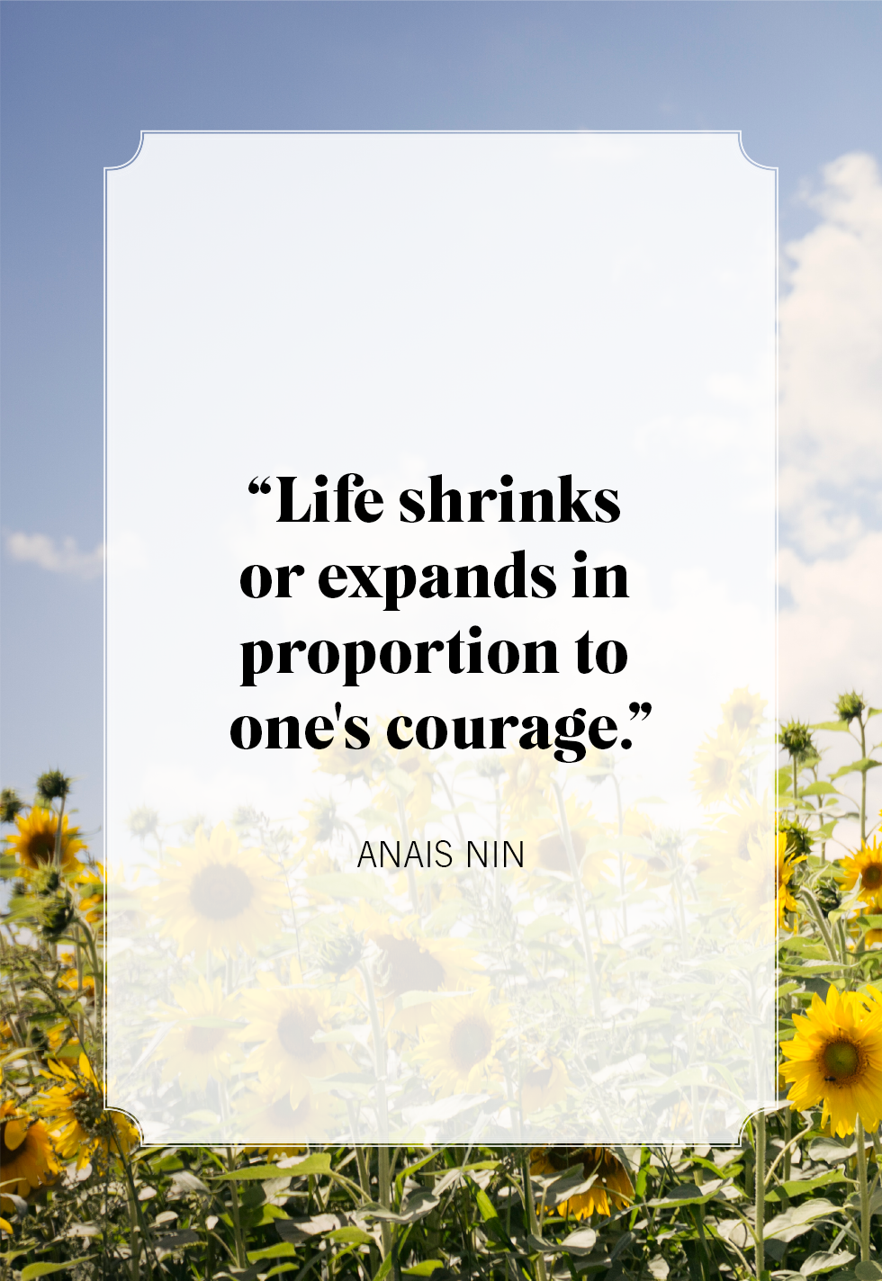 Incredible Compilation of Full 4K Life Quotes Images – The Ultimate ...