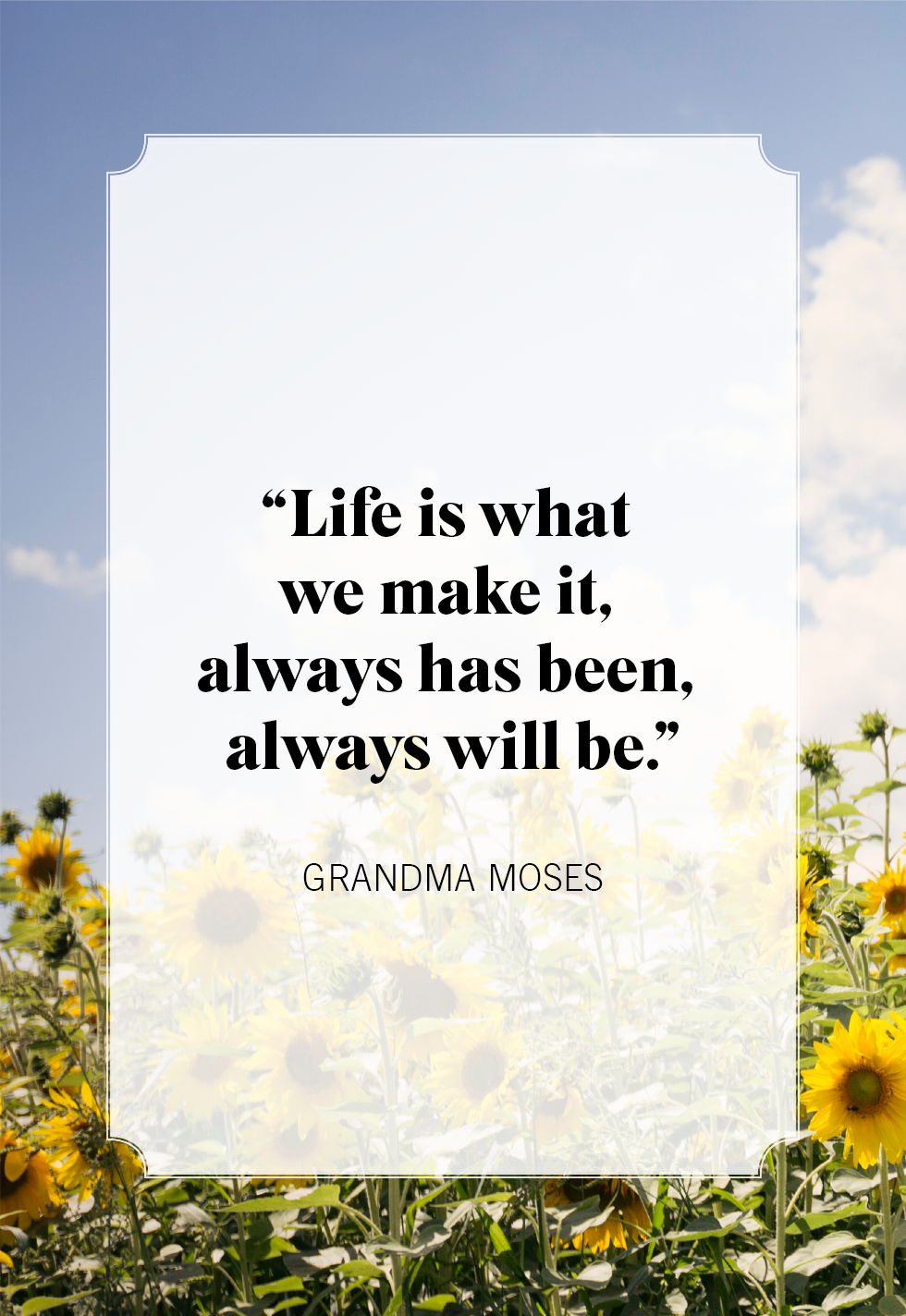 Incredible Compilation of 999+ Life Quotes Images - Full 4K Quality