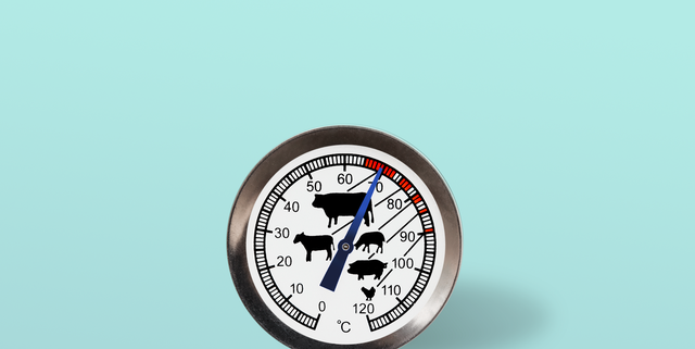Leave-in Meat Thermometers at