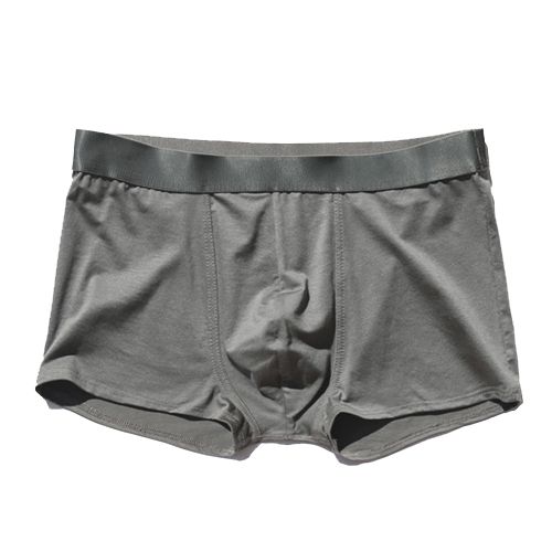 Mens Ice Silk Underwear Nylon Boxer Briefs Sports Comfortable Underpants  Young Students Boxer Shorts