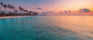 best most exotic travel landscape majestic sunset beach coconut palm tree silhouettes, fantastic colorful sky clouds closeup waves sand stunning tropical nature scene, panoramic island paradise