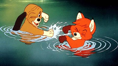 Best Disney Quotes The Fox and the Hound