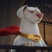 krypto, superman's dog, postes for dc league of super pets, a good housekeeping pick for best kids movies 2022