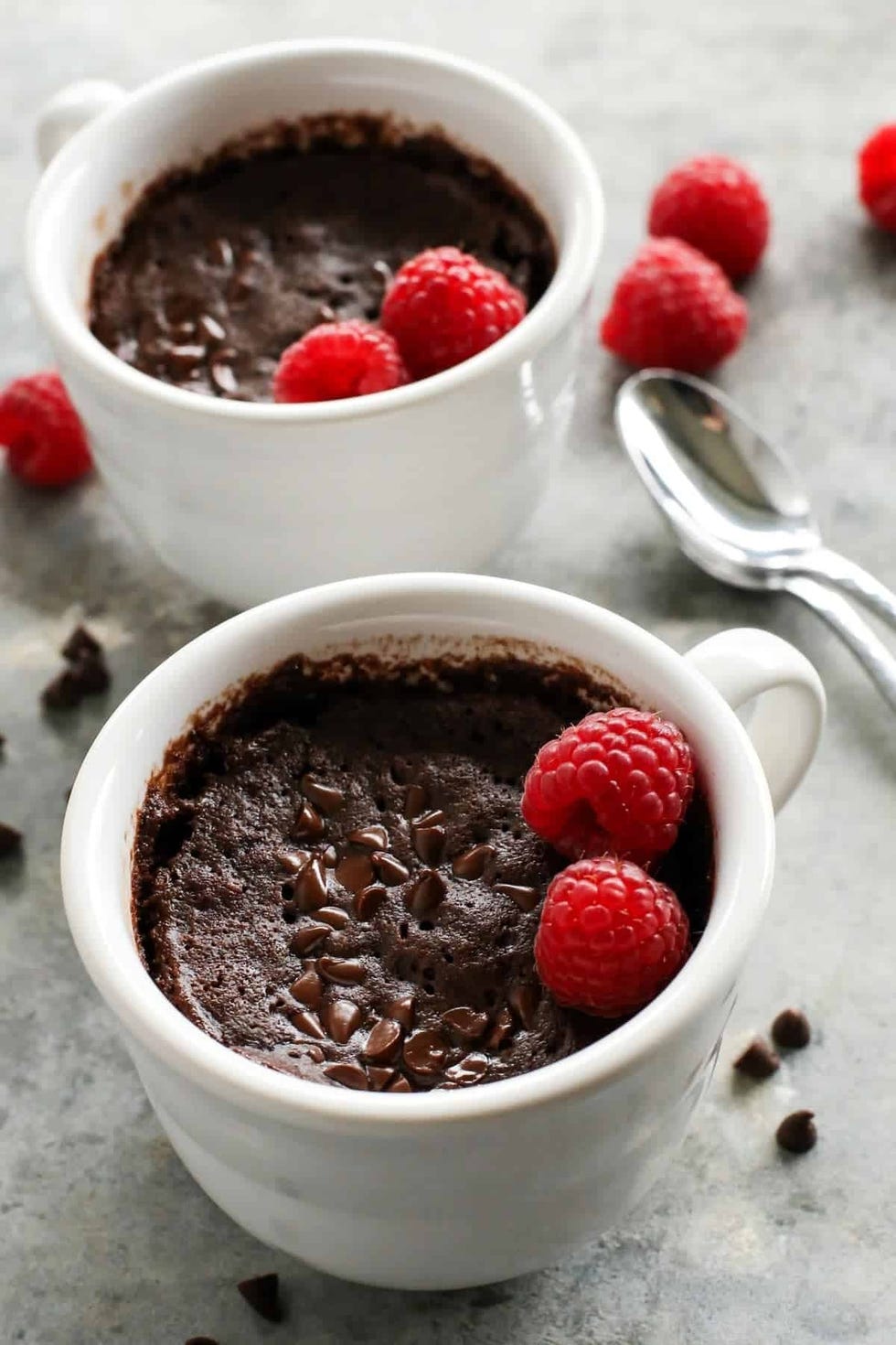 31 Best Microwavable Mug Cake Recipes