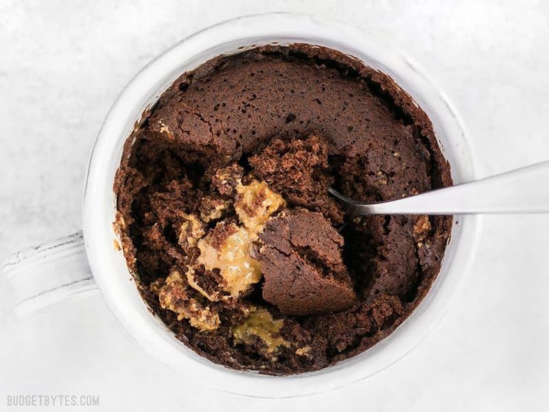 The Best Healthy Chocolate Mug Cake!