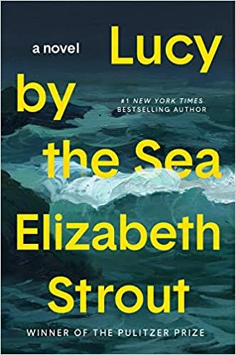 a copy of lucy by the sea by elizabeth strout in a roundup of the best new books of 2022