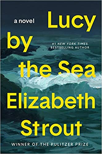 Best New Books 2022 – 35 Best and Buzziest New Books a copy of lucy by the sea by elizabeth strout in a roundup of the best new books of 2022