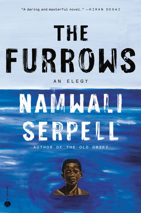 the cover of the furrows by namwali serpell in a roundup of the best new books of 2022