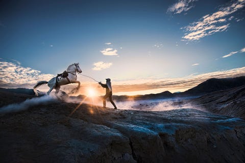 Bij de krater van de vulkaan Bromo in Indonesi probeert een paardentrainer zijn dier in toom te houden