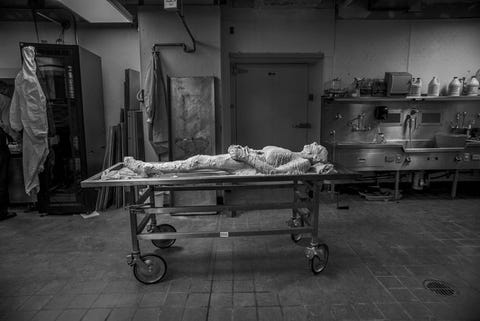Susan Potter werd een onsterfelijke dode toen zij op 15 februari 2015 stierf Vijftien jaar daarvoor besloot Potter om haar lichaam na haar dood ter beschikking van de wetenschap te stellen Fotograaf Lynn Johnson maakte dit beeld van het lijk van Potter in een omhulsel van polyvinylalcohol Het werd vervolgens bevroren en in 27000 plakjes gesneden om daarna te herrijzen als digitaal kadaver waarmee medische studenten nog jarenlang kunnen worden onderwezen
