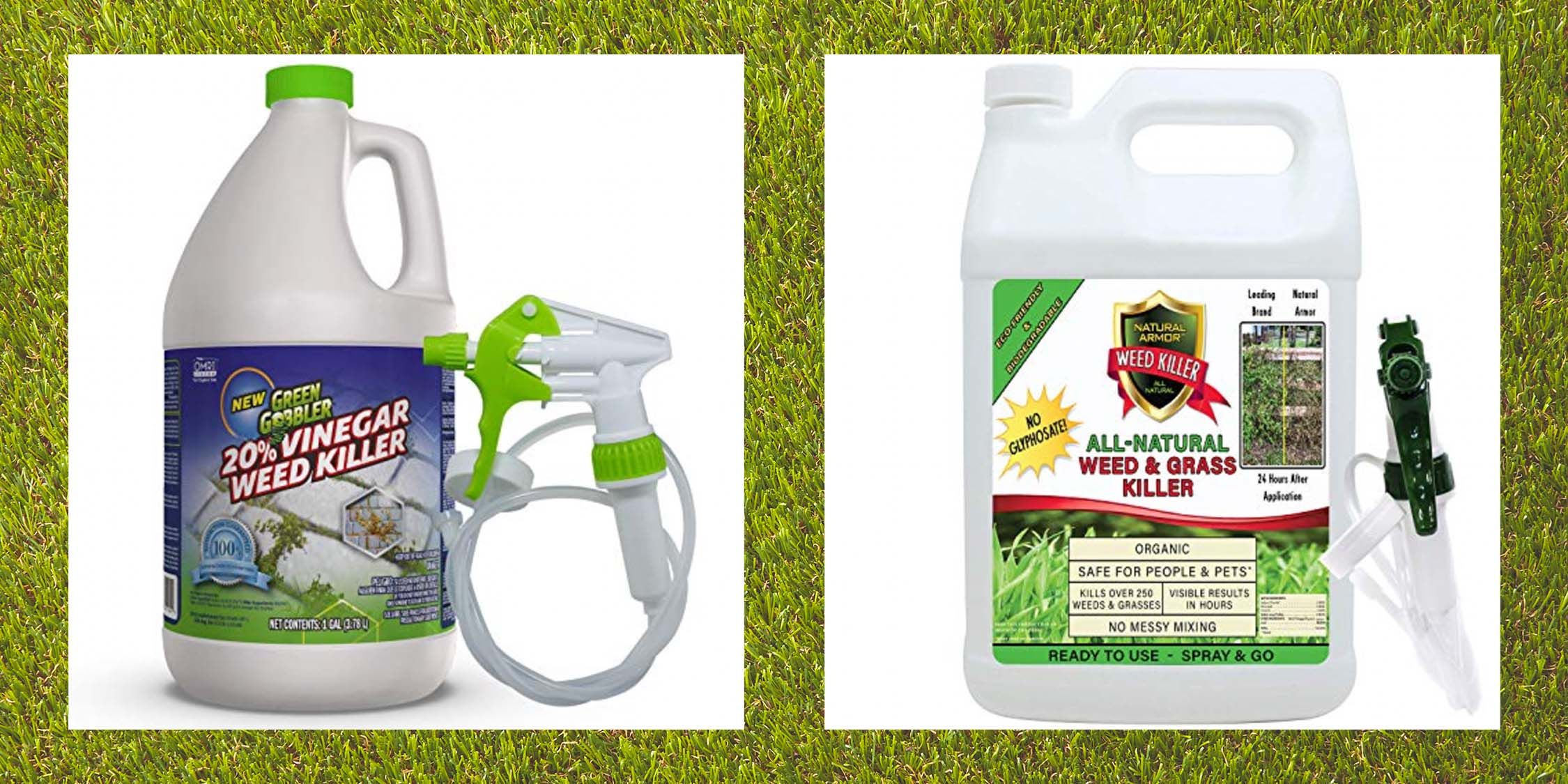 Image of Natural Armor Weed & Grass Killer on Pinterest