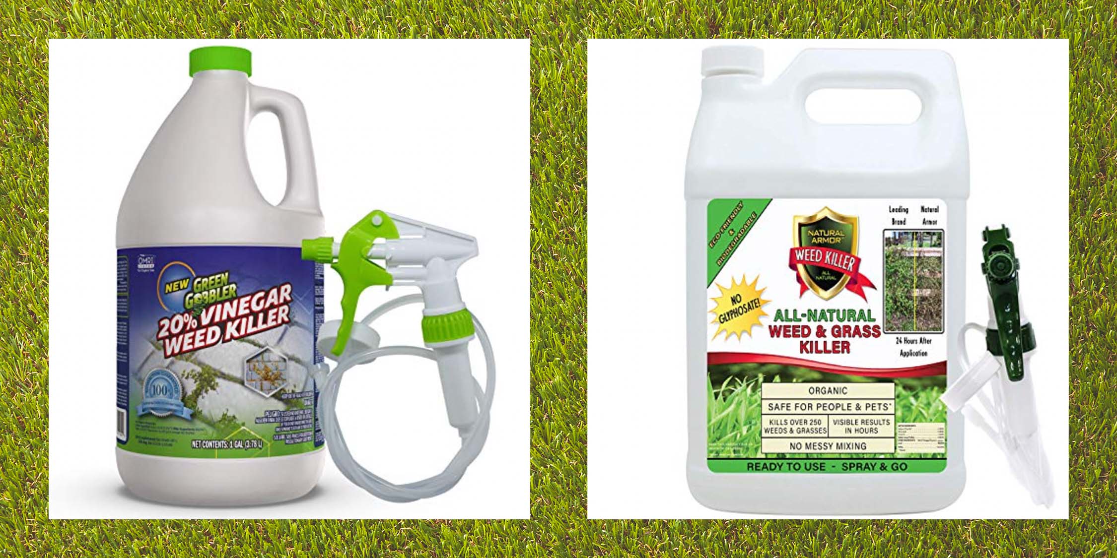 are vinegar weed killers safe for dogs