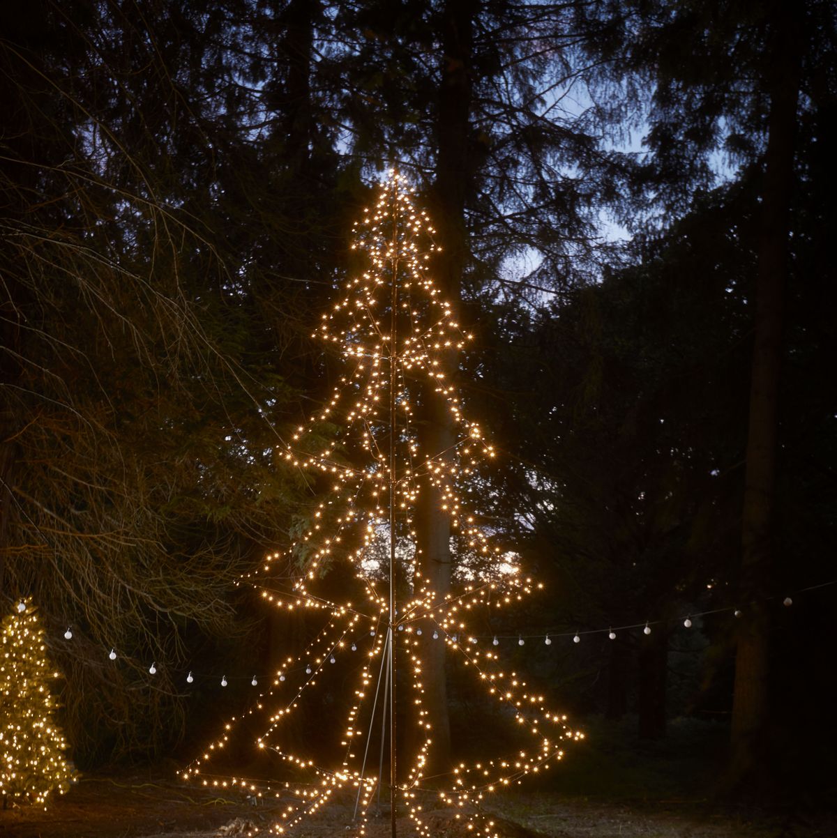 https://hips.hearstapps.com/hmg-prod/images/best-outdoor-christmas-lights-1634549870.jpg?crop=1.00xw:0.751xh;0,0.102xh&resize=1200:*