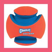 best outdoor dog toys chuckit kick fetch toy and pacific pups chew toy