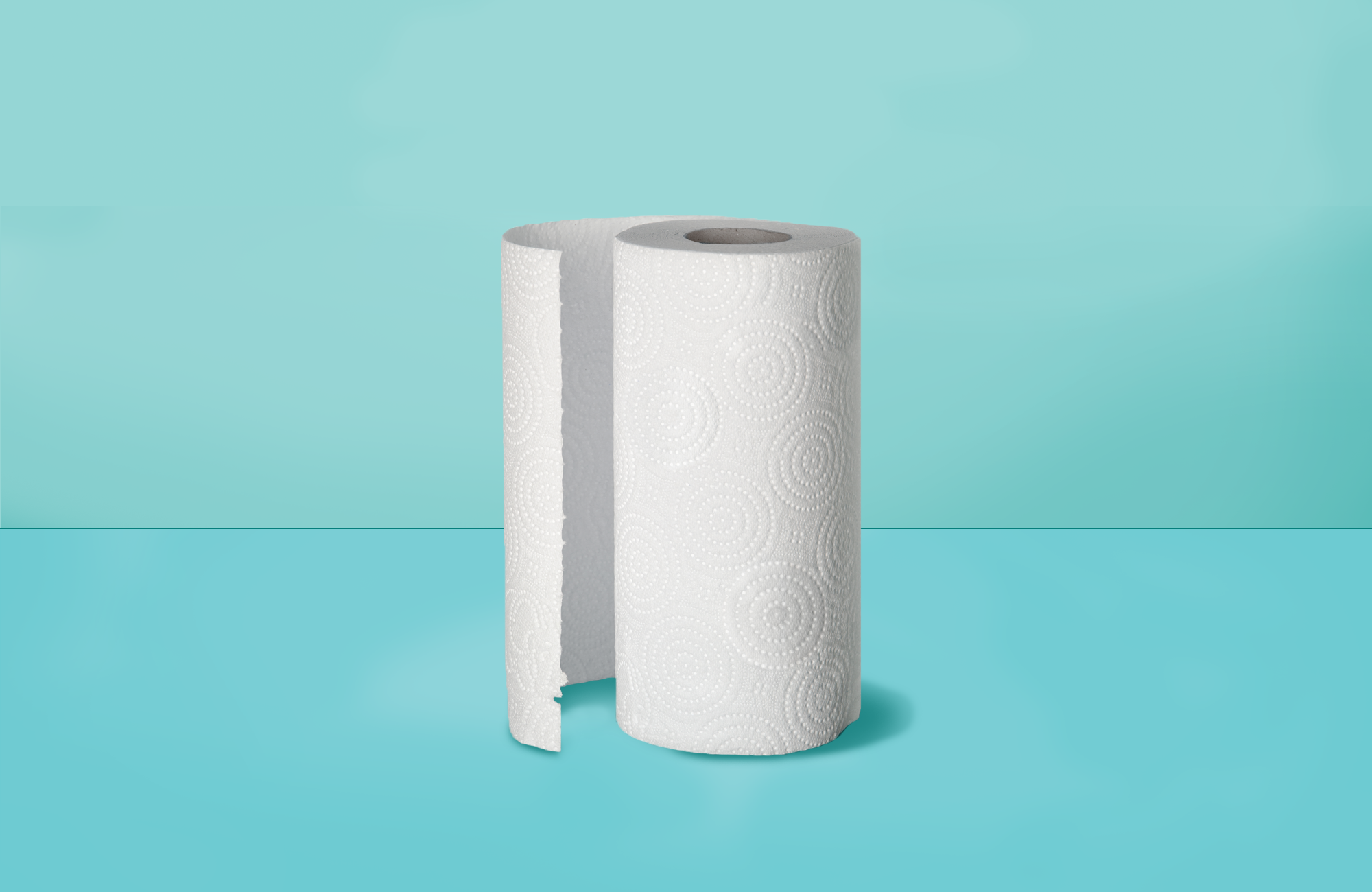 Reusable Paper Towels That Also Style Your Kitchen - Styled by Science