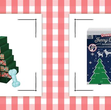 dog toy advent calendar in shape of tree and dog treat advent calendar