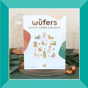 personalized reusable pet christmas advent calendar, advent cookie calendar, and more pet advent calendars