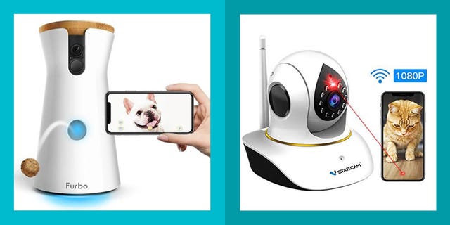 10 of the Best Pet Cameras — Recommended Pet Cameras