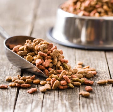 best pet food brands in the uk