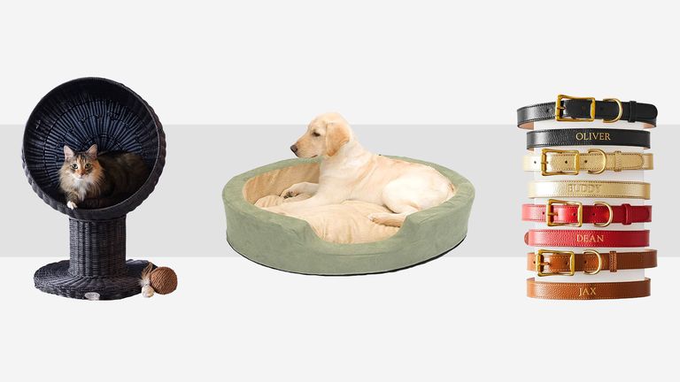 41 Clever Products Your Dog Deserves To Own