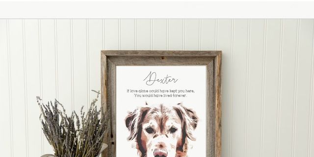 The 12 Most Heartwarming Pet Memorial Gifts of 2023 - PureWow