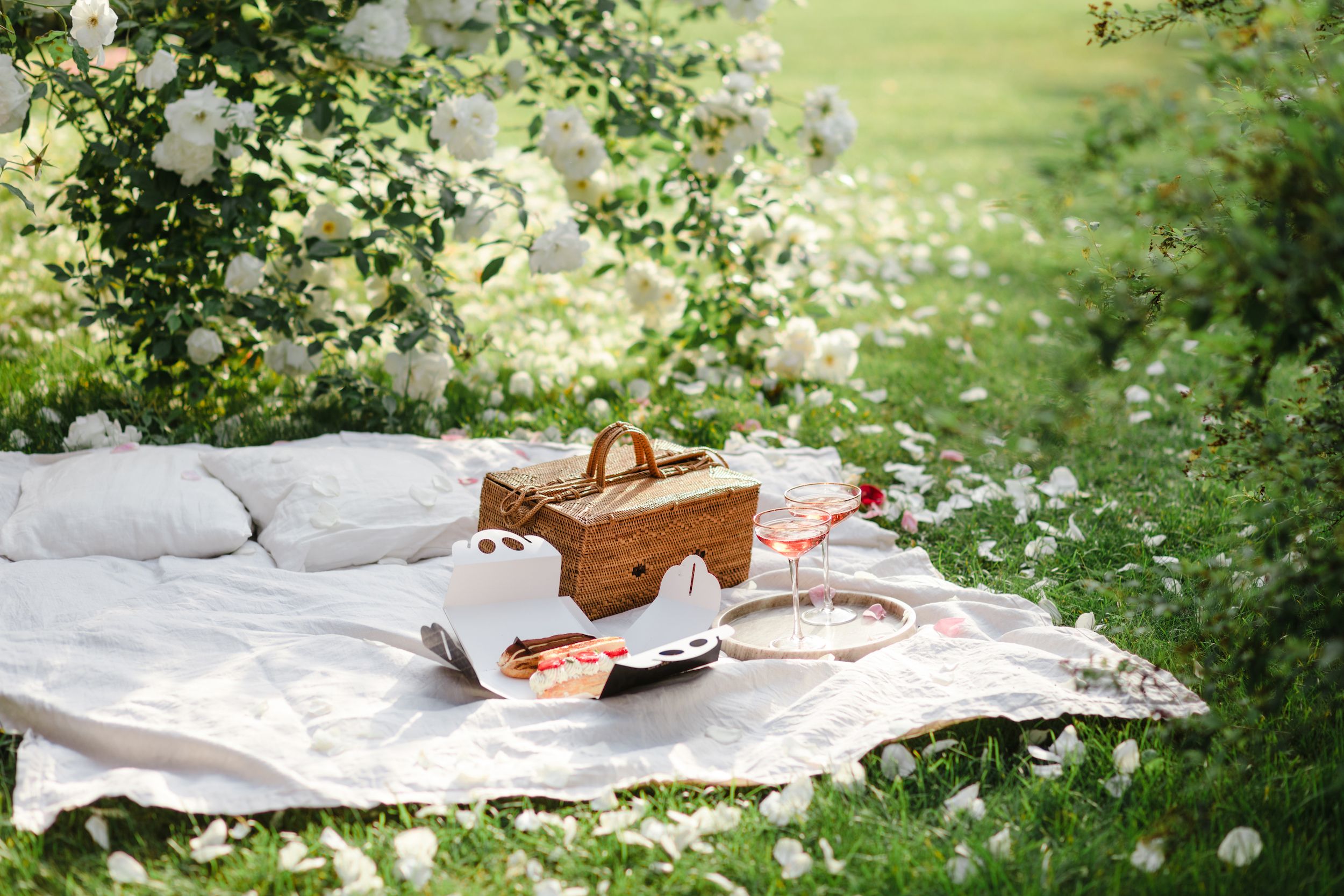 Picnic dinner set sale