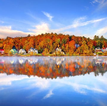 best places to see fall foliage