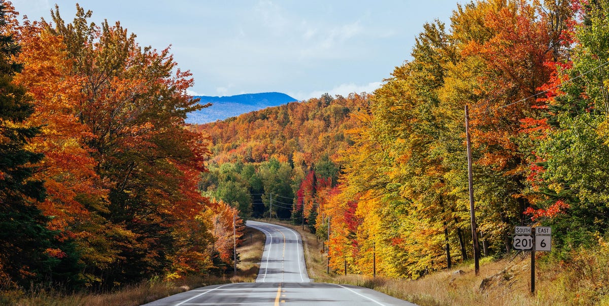 Fall Foliage Delights: Top Destinations to Explore in October - Introduction