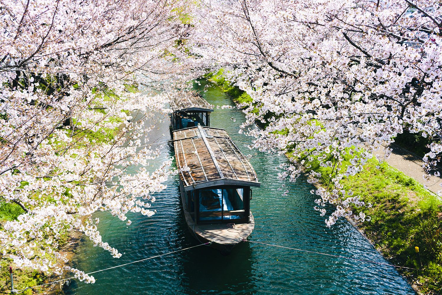cool spots to visit in japan