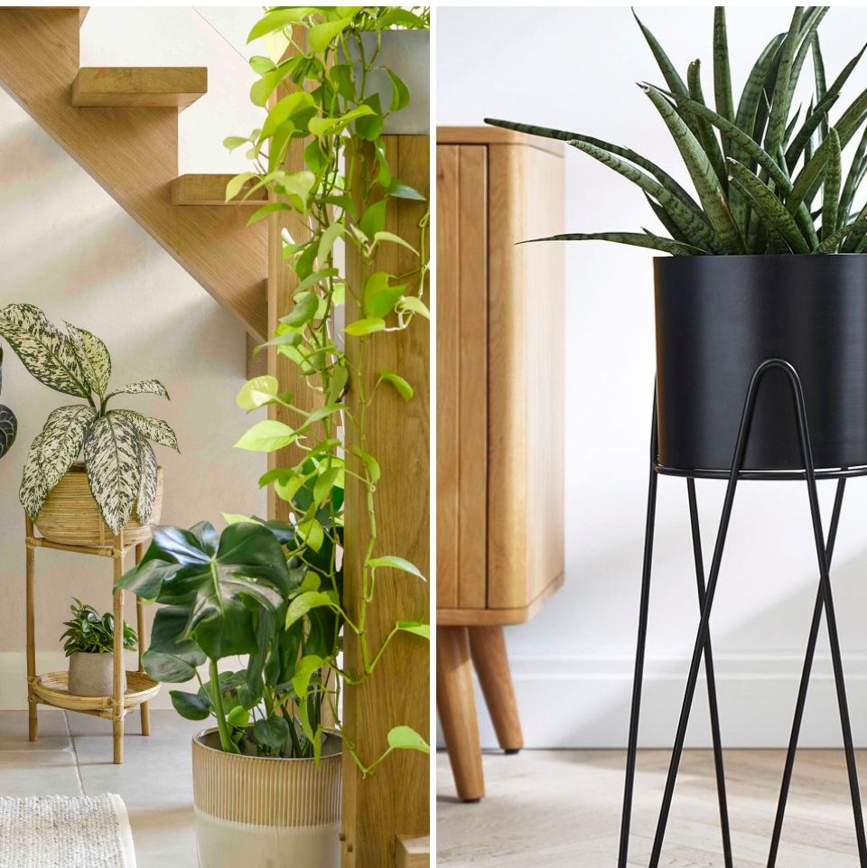 The 14 Best Indoor Plant Stands - Stylish Indoor Planters