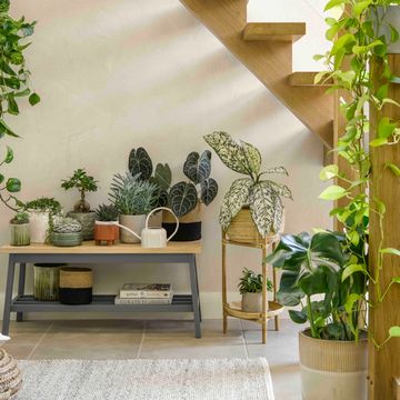 best plant stand planters