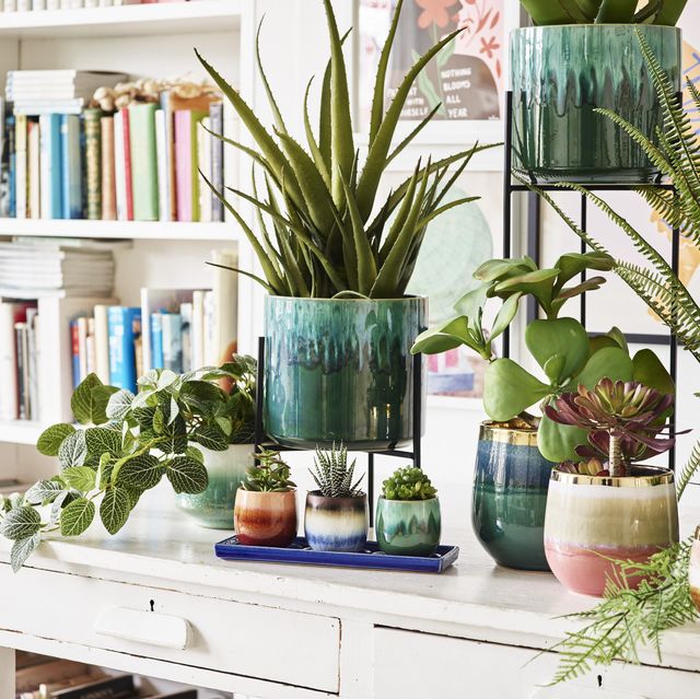 21 Best Indoor Plant Stands For