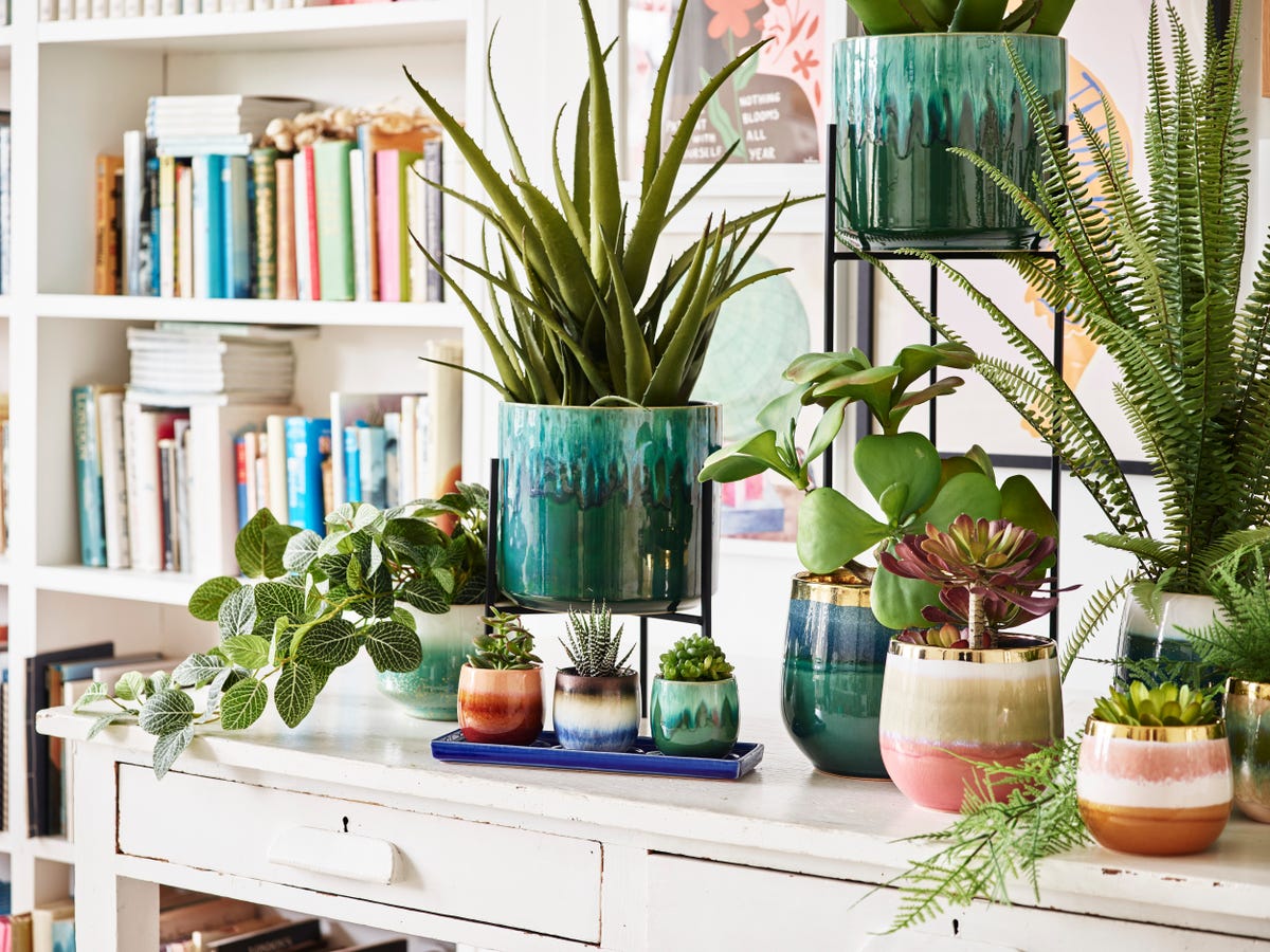 18 Best Indoor Plant Stands For Displaying Your Plants In 2024