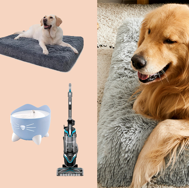 The 10 Best Dog Doormats of 2023