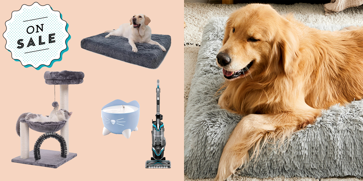 best prime day pet deals 2023