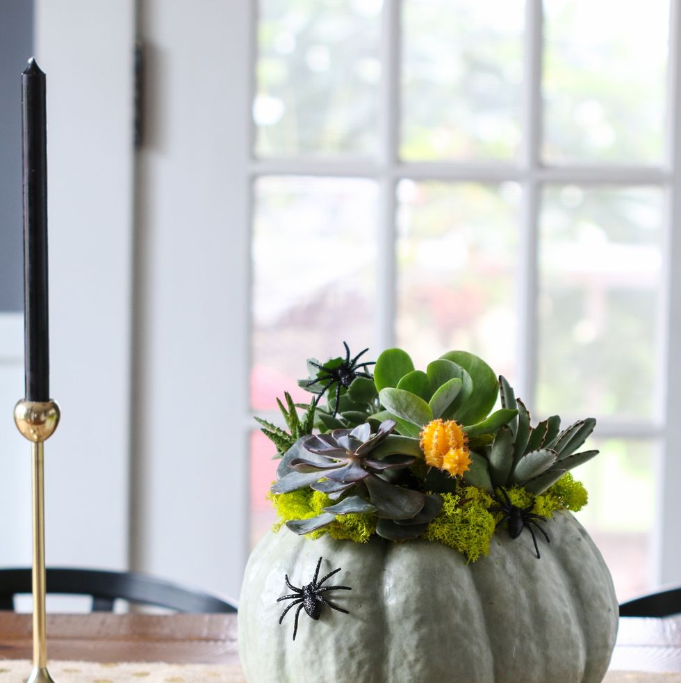 20 Best Pumpkin Centerpieces for a Gorgeous Fall Table