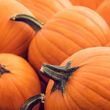 50 best pumpkin quotes and puns   quotes about pumpkins and fall holiday sayings