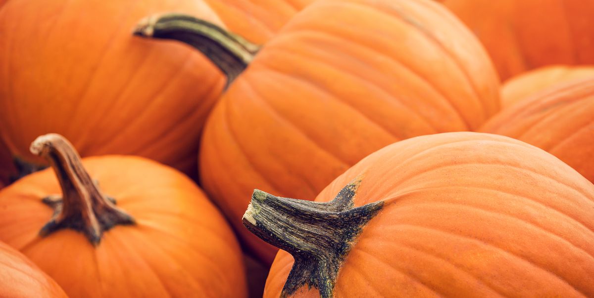 50 Best Pumpkin Quotes and Funny Puns About Pumpkins