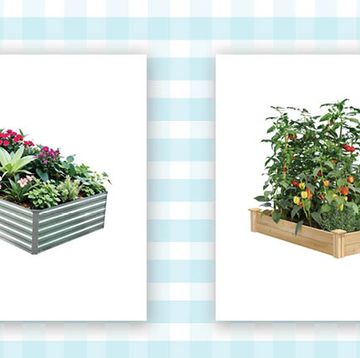 two raised beds in a stylized photo