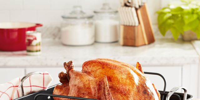 6 Best Turkey Roasting Pans Of 2023 — Best Turkey Roasters