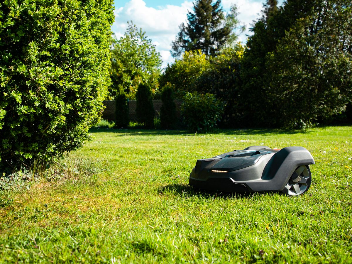 niece Appel til at være attraktiv eftertiden 8 Best Robot Lawn Mowers To Buy In 2022
