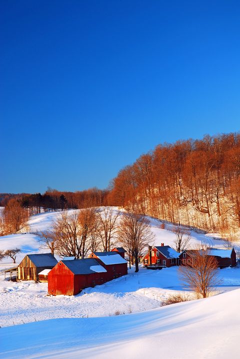 woodstock, vt, usa december 17 2009 a group of red barns, just outside of woodstock vermont, stand out against the white snow encompassing the rural scene