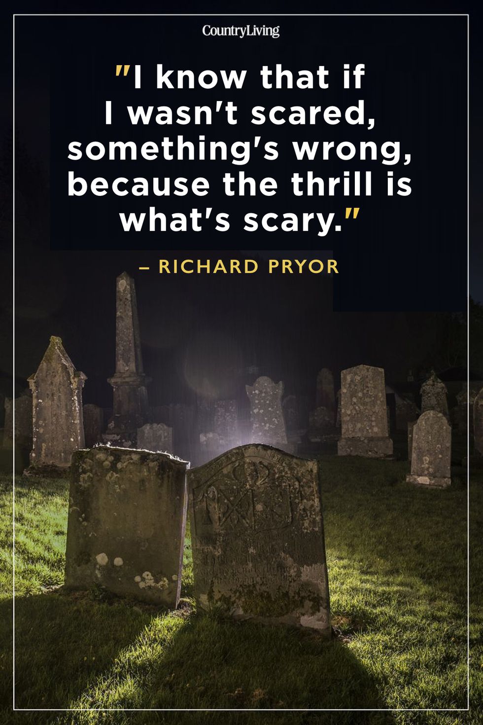 50 Best Scary Quotes and Horror Movie Quotes for Halloween 2023
