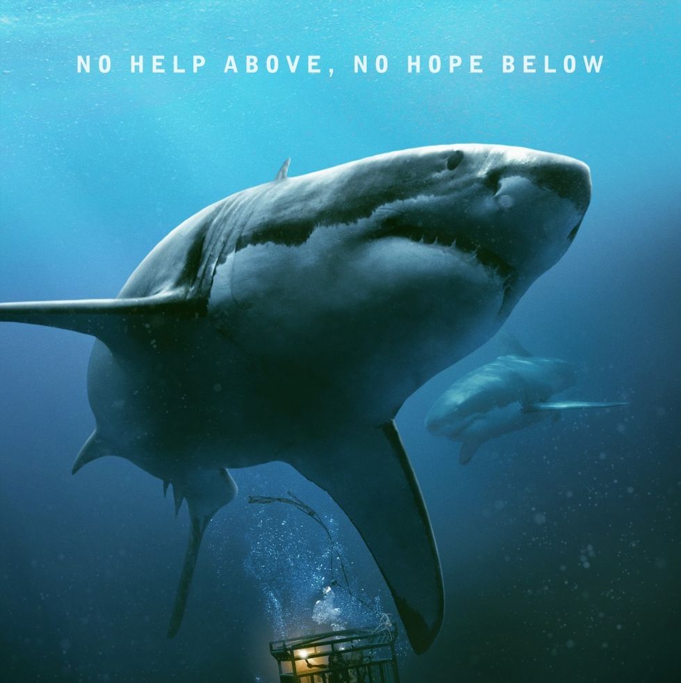 best shark movies in the deep