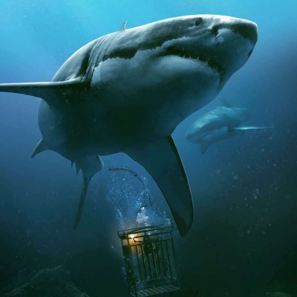 best shark movies in the deep
