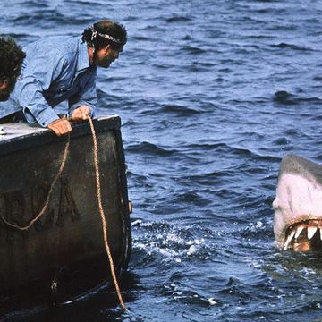 best shark movies jaws